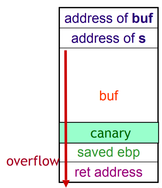 Canary placed after overflowable variable buf